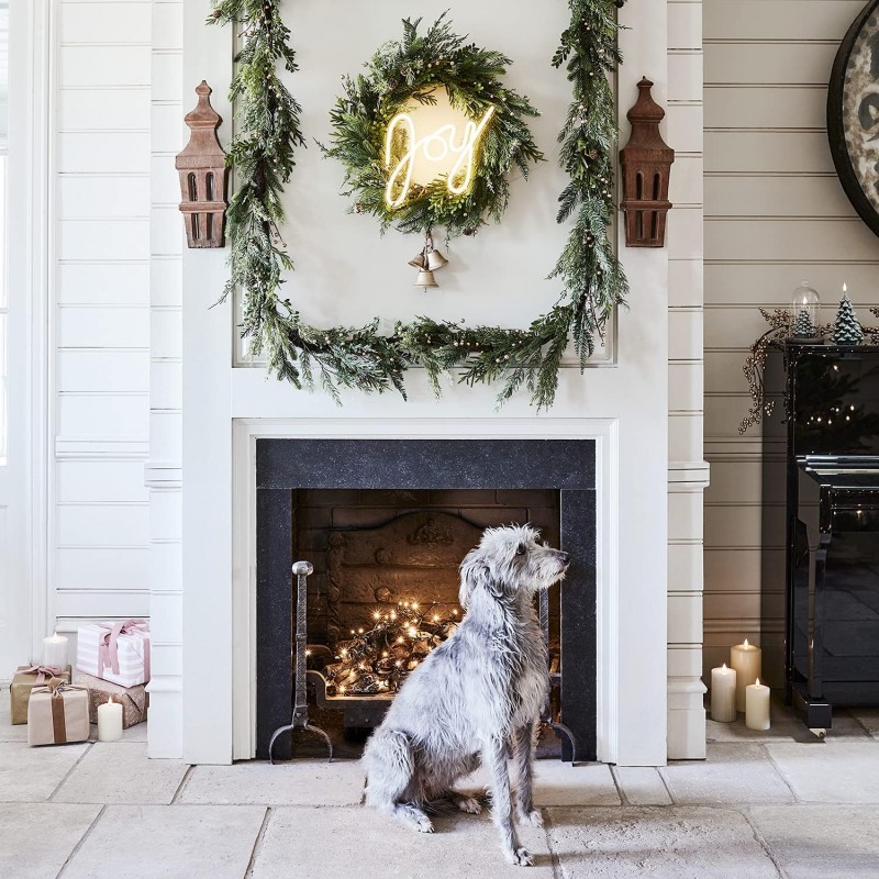 Neşe (Joy) Neon Led Tabela