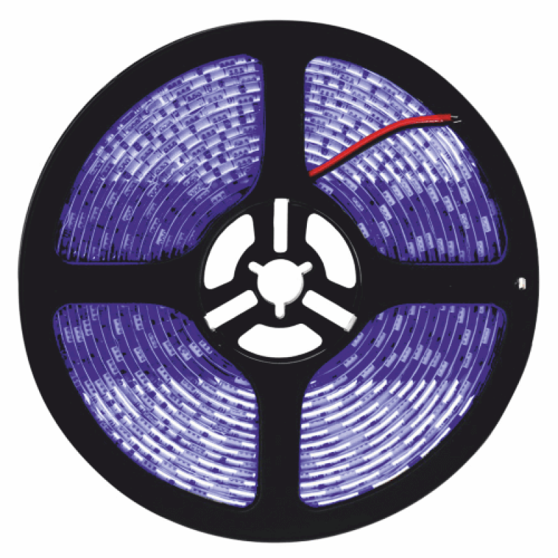 5050 Üç Çip Şerit Led Mavi Dış Mekan 5 Metre