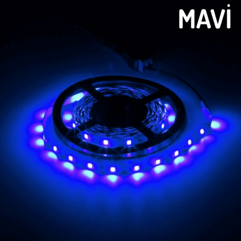 5050 Üç Çip Şerit Led Mavi Dış Mekan 5 Metre